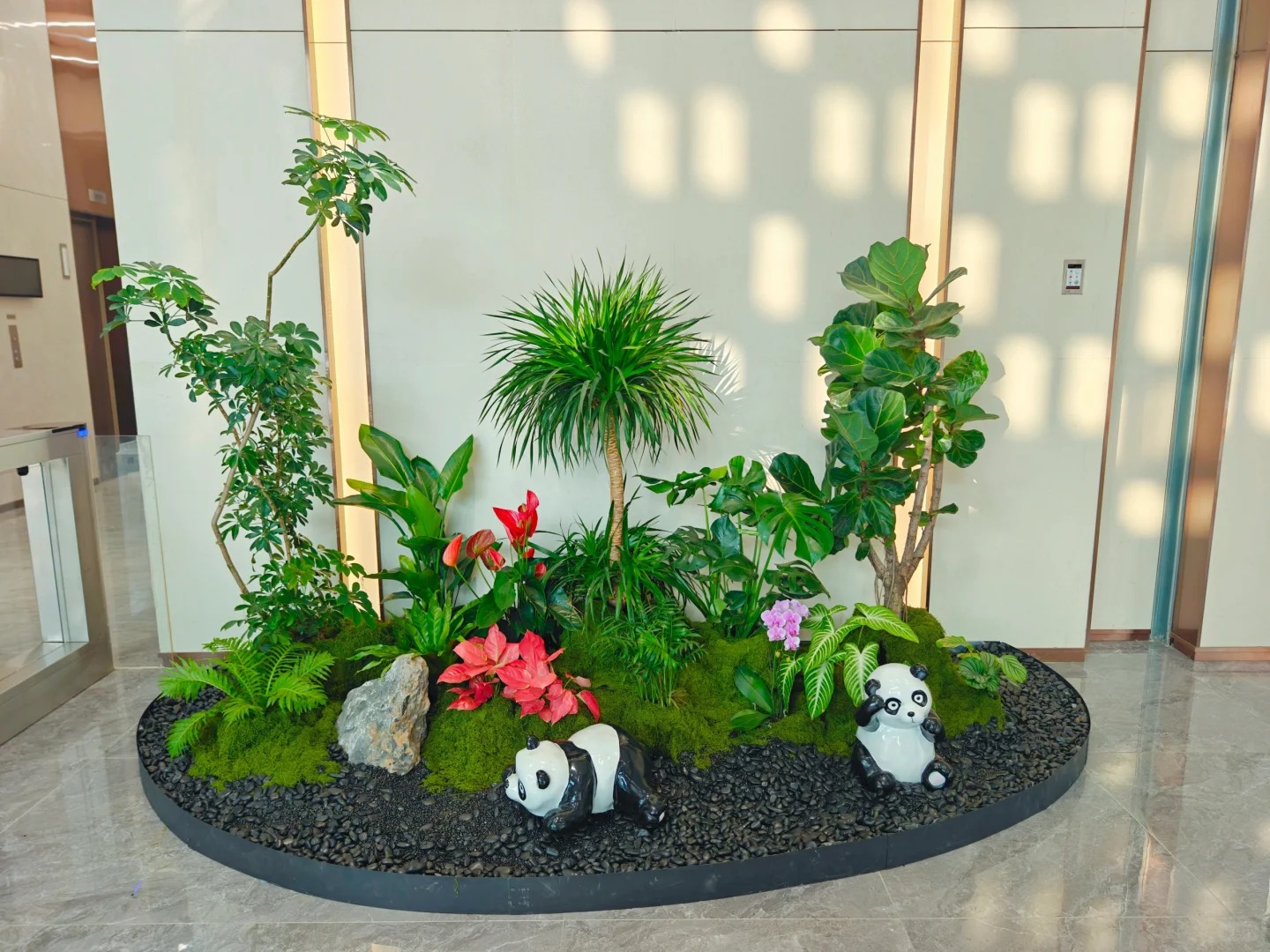 余姚植物租摆，轻松营造温馨舒适的室内环境